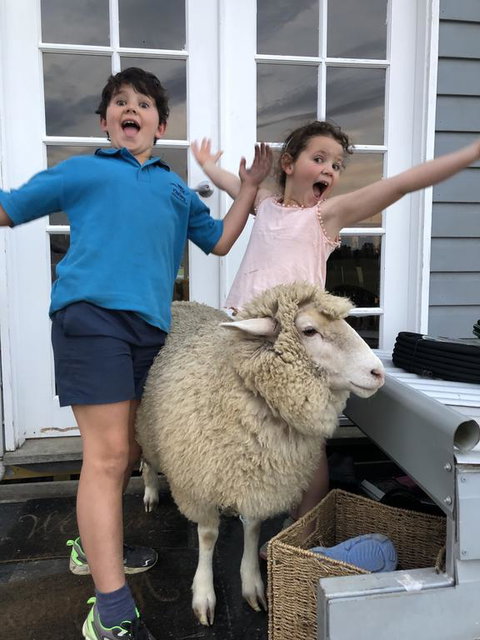 Jackaleah Farm Stay - Stayed 2