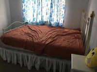 Book Jacobs Well Accommodation Vacations Stayed Stayed