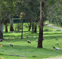 JAN'S ART STUDIO AT ASHBY RISE