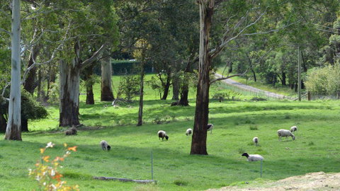 JAN'S ART STUDIO AT ASHBY RISE - Stayed 0