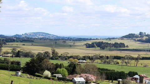 JAN'S ART STUDIO AT ASHBY RISE - Stayed 2