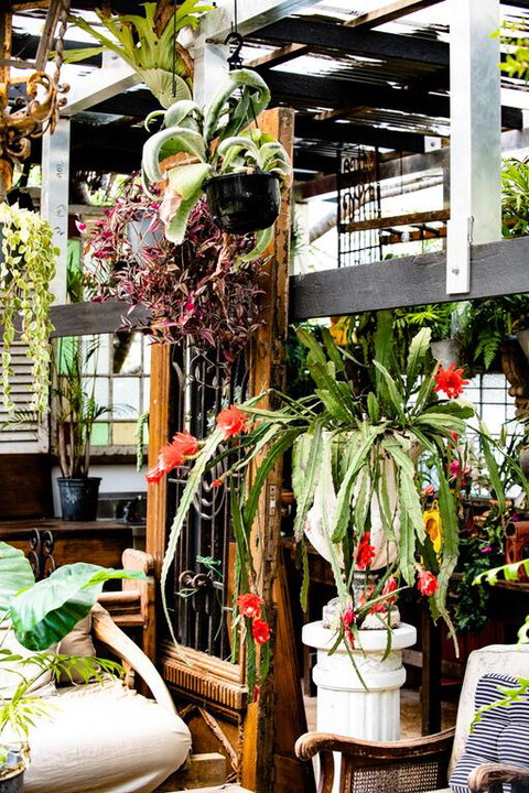 Jaspers Apartments - Stayed 3