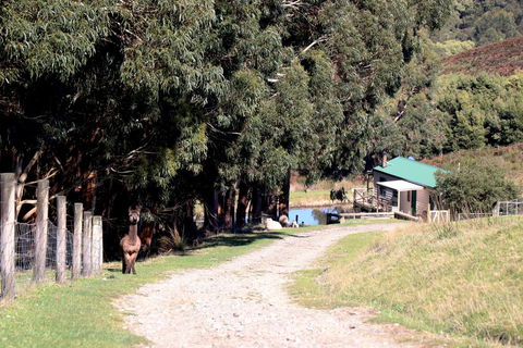 Johanna River Farm & Cottages - Stays Accommodation 1