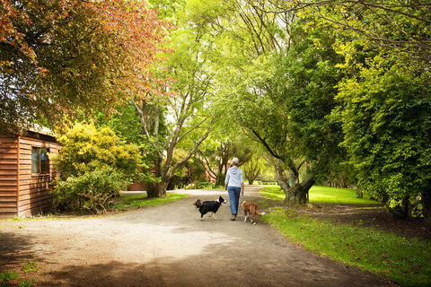 Johanna River Farm & Cottages - Stays Accommodation 0