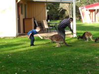 Book Kalgan Accommodation Vacations Stayed Stayed