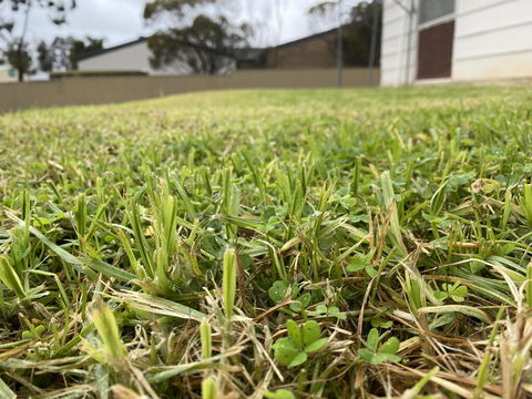 Karoonda Accommodation - Stayed 0