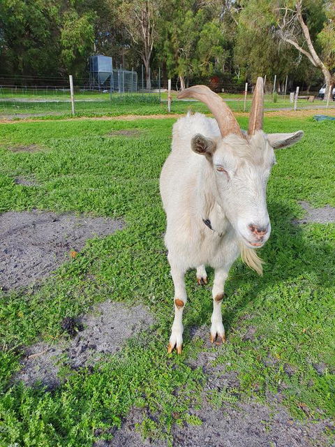 Kerriley Park FarmStay - Stays Accommodation 2