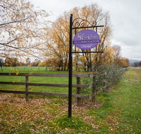 King River Cottage - Stayed