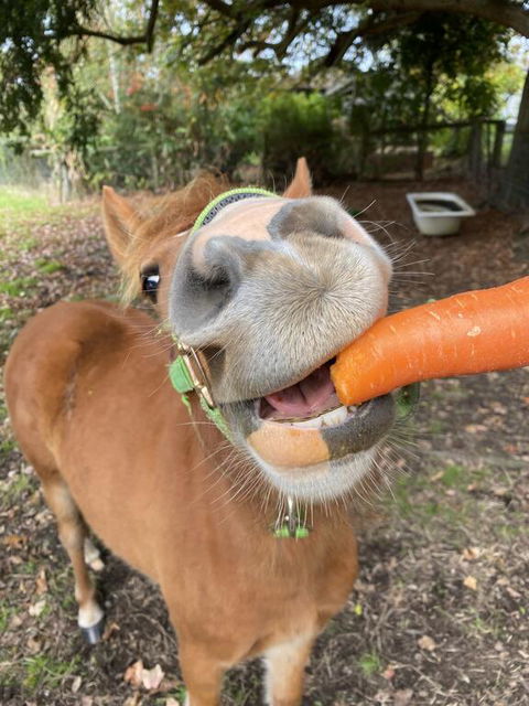 Kongwak Views - Stayed 2