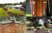 Book Kongwak Accommodation Vacations Stayed Stayed