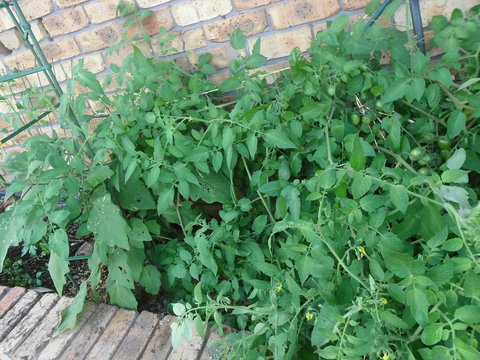 La Lagoon B&B - Stayed 3