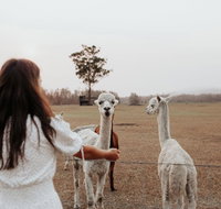 Laurina Estate - Stayed