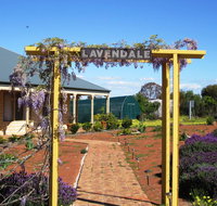 Lavendale Farmstay and Cottages York