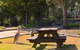 Leura Lodge At Mt Victoria - thumb 2