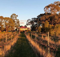 Lillicur Vineyard BB - Stayed