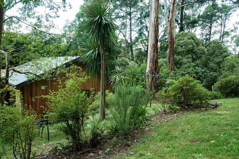 Luxury Forest Retreat - Puffing Billy - Stayed 2