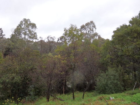 Mandall Avenue - Stayed 2