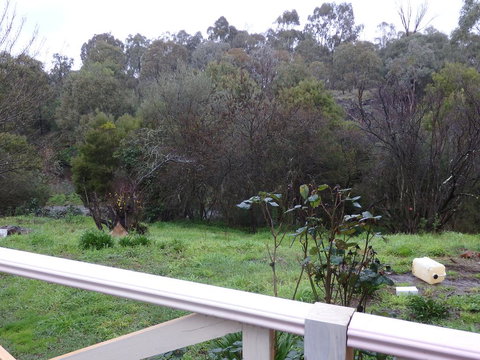 Mandall Avenue - Stayed 1