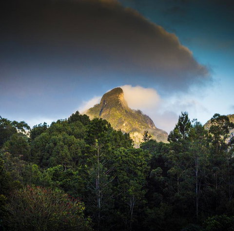 Mavis's Cabins @ Mt Warning - Stays Accommodation 1