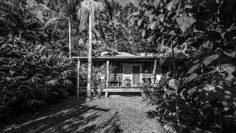 Mavis's Cabins @ Mt Warning - Stays Accommodation 2