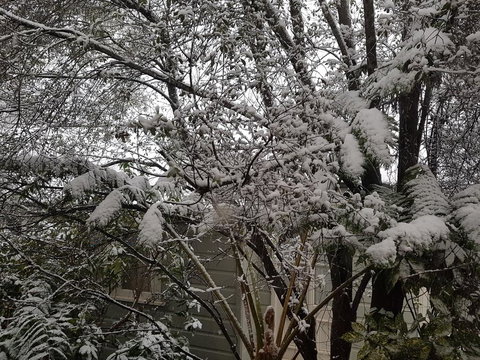 Megalong Manor - Stayed 1