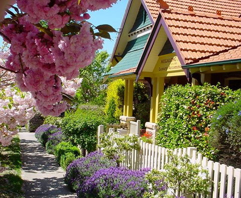 Megalong Manor - Stayed 0