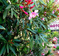 Mercury motor inn - Stayed