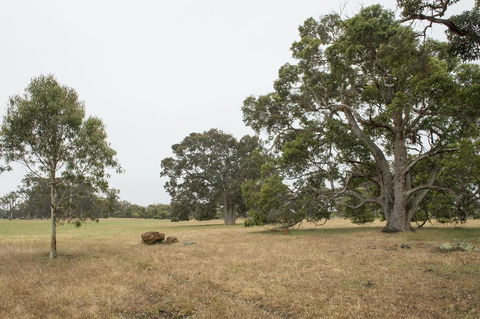 Metricup House - Elegant Country Retreat - Stays Accommodation 2