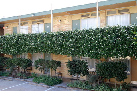 Mid City Motor Inn Queanbeyan - Stays Accommodation 1