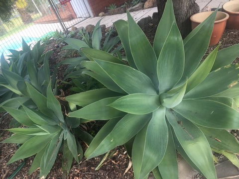 Motel Wingrove - Stayed 2