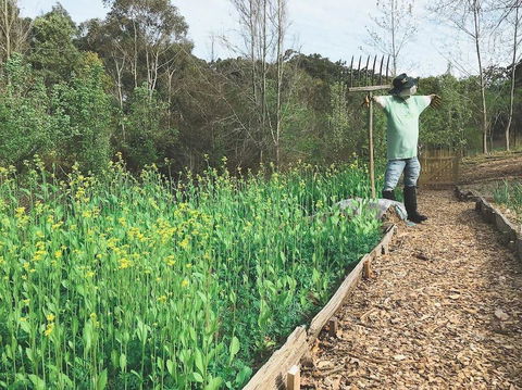 Mylor Farm, Adelaide Hills - Stayed 1