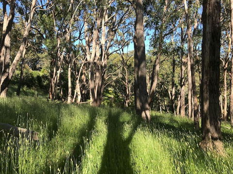 Mylor Farm, Adelaide Hills - Stayed 0