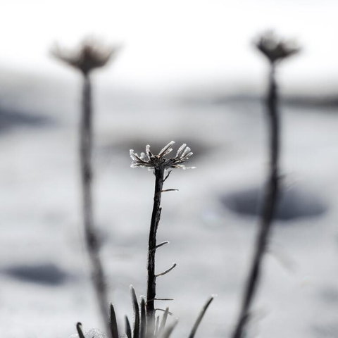 Nanook Thredbo - Stayed 3