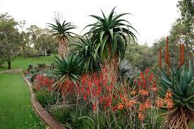 Dunes Scarborough Beach - Stayed 34