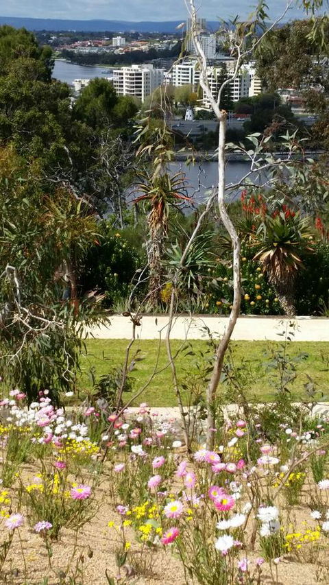 Dunes Scarborough Beach - Stayed 43