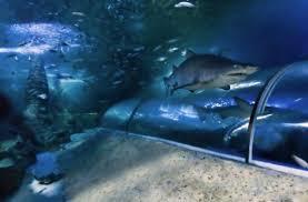 Dunes Scarborough Beach - Stayed 29