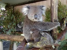 Dunes Scarborough Beach - Stayed 42