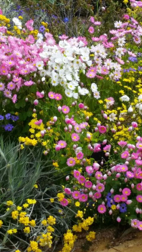 Dunes Scarborough Beach - Stayed 44