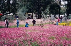 Dunes Scarborough Beach - Stayed 36