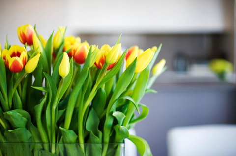 Claremont Quarter Luxury Apartment - Stays Accommodation 11