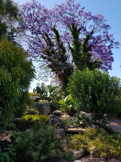 Jacaranda Hideaway Bed & Breakfast - Stays Accommodation 10