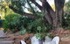 Jacaranda Hideaway Bed & Breakfast - thumb 15