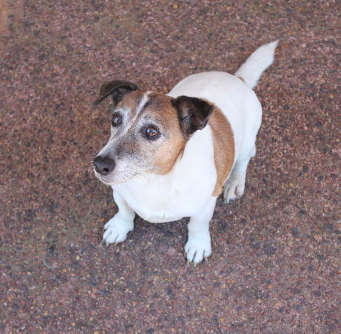 Jacaranda Hideaway Bed & Breakfast - Stays Accommodation 13