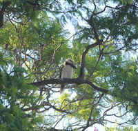 Jacaranda Hideaway Bed  Breakfast - Stayed