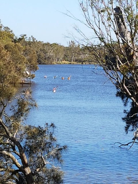 Jacaranda Hideaway Bed & Breakfast - Stays Accommodation 19