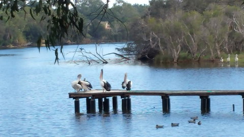 Jacaranda Hideaway Bed & Breakfast - Stays Accommodation 18