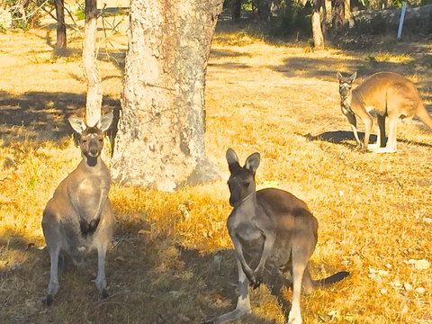 Sandpiper Retreat - Stayed 37