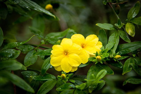 Riverglen Chalets - Stayed 44