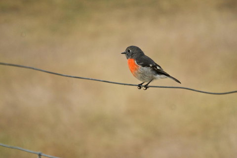 Riverglen Chalets - Stayed 43