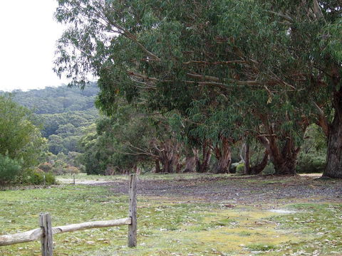 Riverside Retreat Chalets, Walpole - Stayed 17